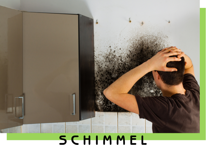 Schimmel_Grün_Beschriftet